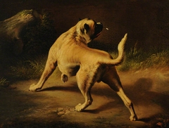 A Dog on alert by Edwin Landseer