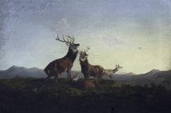 A Pair of Highland Stags rutting by Anonymous