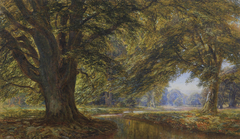 Beech Forest, England by Edmund George Warren