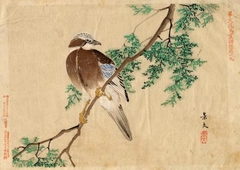 Bird on Branch by unknown artist - Matsumura Keibun - ABDAG009018 by Keibun