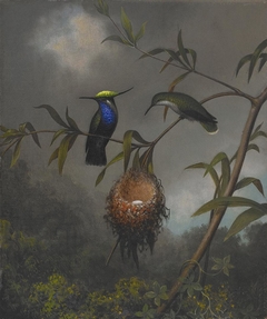 Black-breasted Plovercrest by Martin Johnson Heade