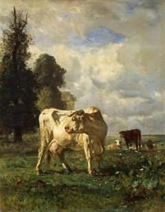 Cows in the Field by Constant Troyon