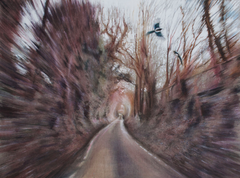 Crow Lane I by Georgia Peskett