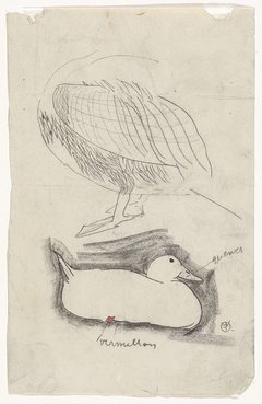Eend en andere watervogel by Gerrit Willem Dijsselhof