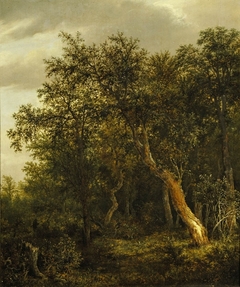 Entrance to a Wood by Jacob van Ruisdael