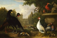 Exotic fowl in an ornamental garden beside a stone vase, a fountain beyond by Jakob Bogdani