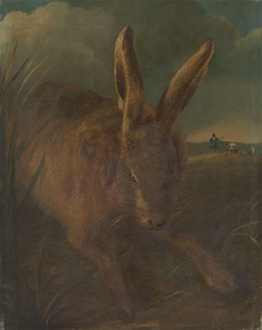 Hare Coursing by Philip Reinagle