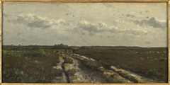 Heide bij Kalmthout by Willem Roelofs