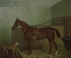 Hunting horse and dog in stable interior by Anonymous