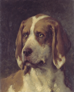 Kop van een hond by Otto Eerelman