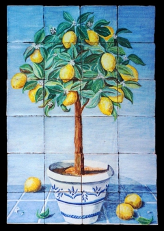 Lemon tree in pot, blue background by José Angulo