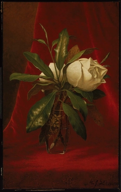 Magnolias by Martin Johnson Heade