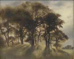 Near Fortunen, Jægersborg Deer Park, North of Copenhagen by Vilhelm Hammershøi