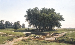 Oak by Ivan Shishkin