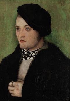 Portrait of a young man by Hans Baldung