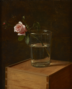 Rose im Glas by Franz Krüger