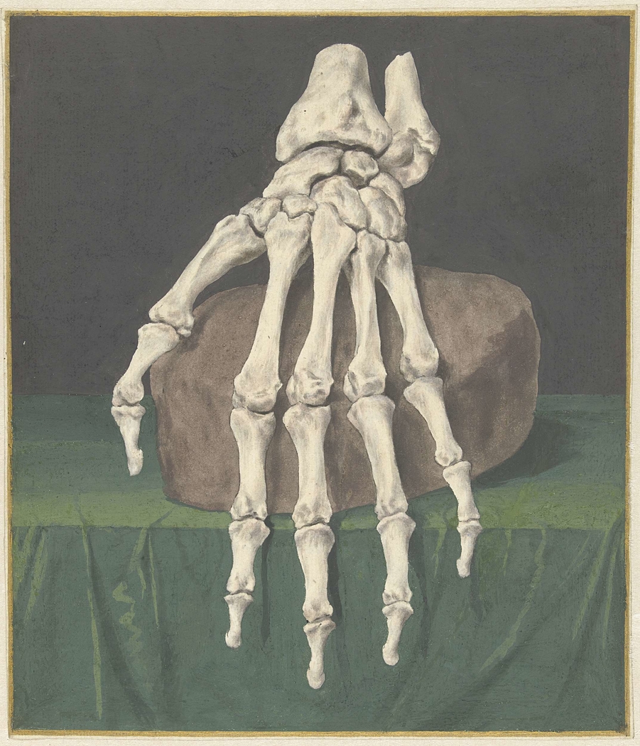 Exhibit image