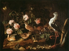 Still-Life with Quails, an Owl and a White Stilt by Paolo Porpora