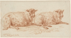 Studie van twee liggende schapen by Jan van Ravenswaay