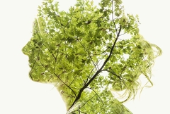 Summer Green by Christoffer Relander