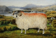 Swaledale Ram from Troutbeck, looking south down Lake Windemere by William Taylor Longmire