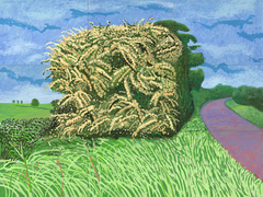 The Big Hawthorne by David Hockney