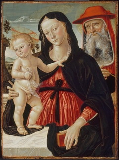 Virgin and Child with Saint Jerome by Pinturicchio