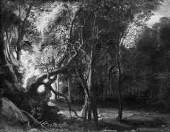 Wooded Landscape by Peter Paul Rubens