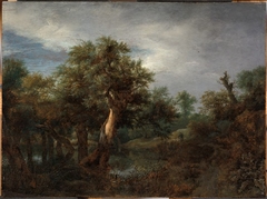 Wooded Landscape with an Old Oak by Jacob van Ruisdael