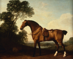 A Saddled Bay Hunter by George Stubbs