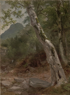 A Sycamore Tree, Plaaterkill Clove by Asher Brown Durand