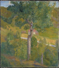 Aspen Tree at Brunkeberg in Telemark by Thorvald Erichsen