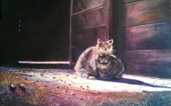 Barn Cats by Heather Ryan