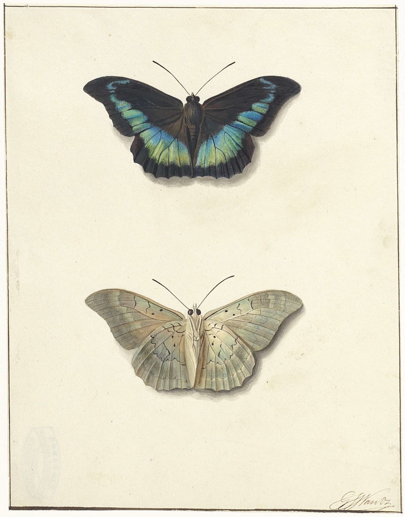 Exhibit image