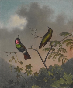 Brazilian Ruby by Martin Johnson Heade