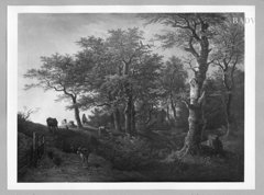 cattle near a forest with oak-thees by Max Joseph Wagenbauer