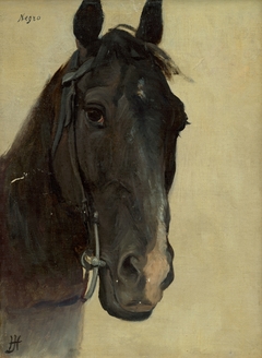 Head Study of Horse Negro by Jozef Hanula