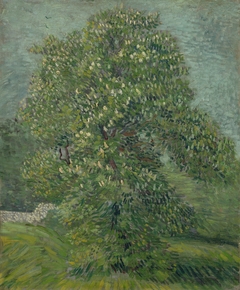 Horse Chestnut Tree in Blossom by Vincent van Gogh