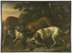 Hounds Belonging to King Karl XI Attacking a Wolf by David Klöcker Ehrenstrahl