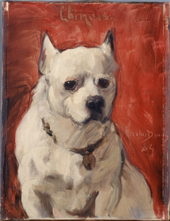 Le chien "chinois" by Carolus-Duran