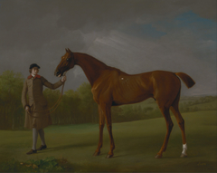 Lustre, held by a Groom by George Stubbs