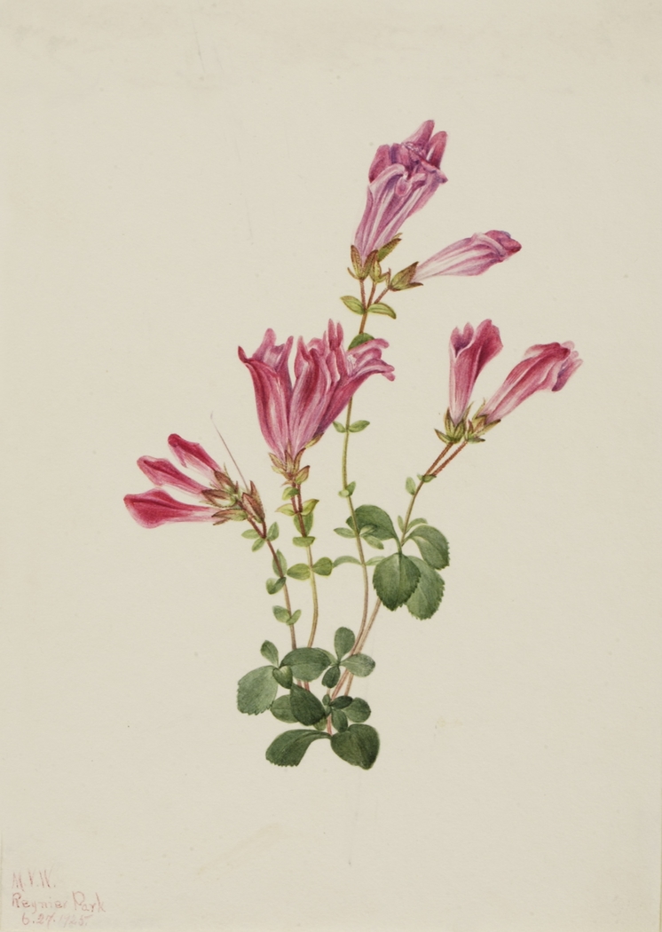Exhibit image