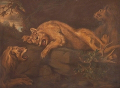 Mountain Lions by circle of James Northcote