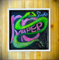 NO SMOKE, NO VAPER by angela ruth dagostino