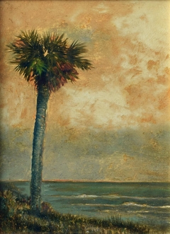 Palm by the Sea by Ben Austrian