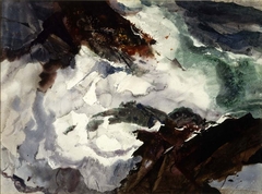 Roaring Reef by Andrew Wyeth