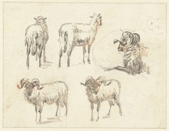 Schetsblad met twee geiten en drie rammen by Pieter Gerardus van Os