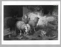 sheep in front of the stable by Friedrich Ferdinand Schmalzigaug