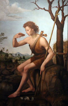 St. John the Baptist in the Wilderness by Giuliano Bugiardini