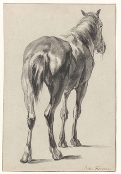 Staand paard, schuin van achter, naar rechts by Pieter van Bloemen